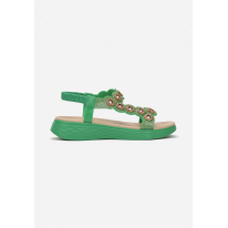DM-29-61-green
