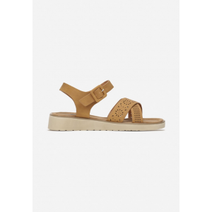 LT-10-68-camel
