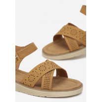 LT-10-68-camel