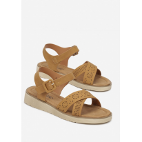 LT-10-68-camel