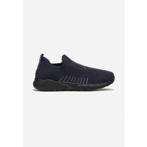 SL101-93-d.blue