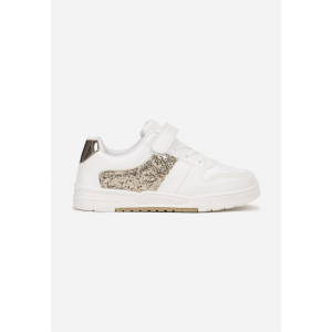 H-148L-31-36-60-gold