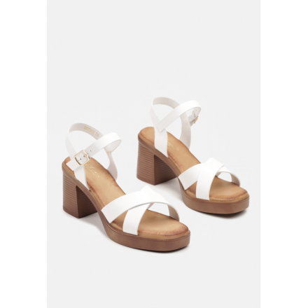 BK7505-71-white