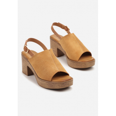D-319-68-camel