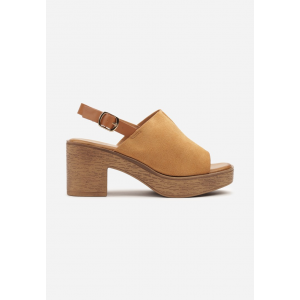 D-319-68-camel