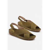 X3146-70-olive