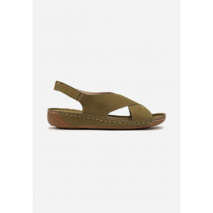 X3146-70-olive