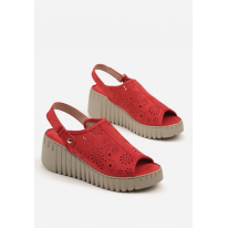 X3141-64-red