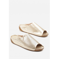 X3147-60-gold