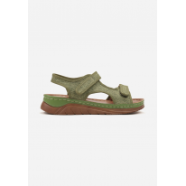 X3138-70-olive