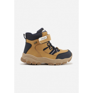 WS9-L-68-camel