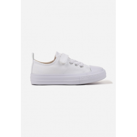 RC05P-26-31-71-white