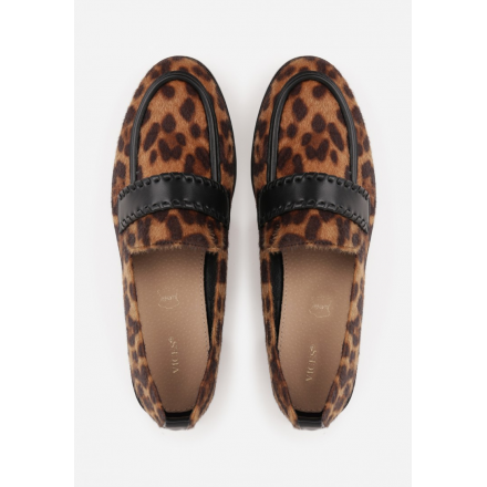 Q7116-473-leopard