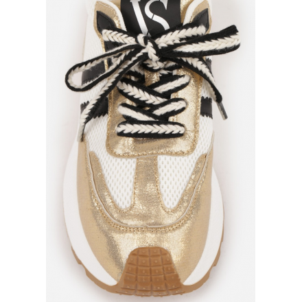 SC01(v2)-60-gold