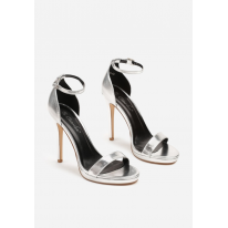2D2L7529-02-52-silver